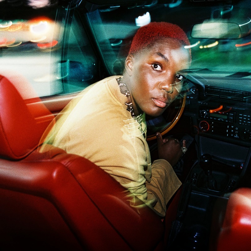 Ambiguous Desire cover artwork