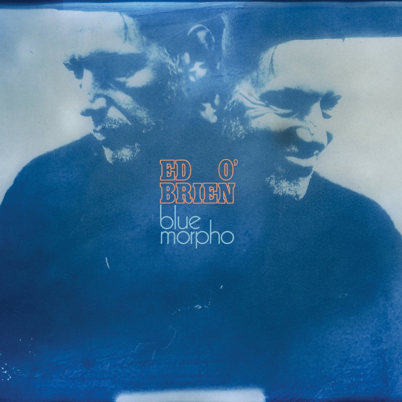 Blue Morpho cover artwork